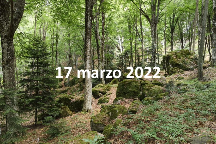 Aspetti forestali e conservazione ecosistemi, 17 marzo 2022