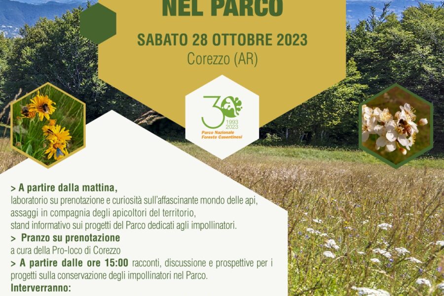 Parco delle Foreste Casentinesi – Api e impollinatori nel Parco – 20 ottobre 2023