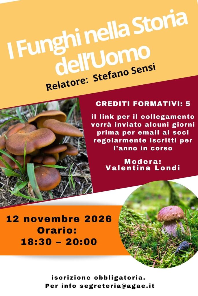 I funghi