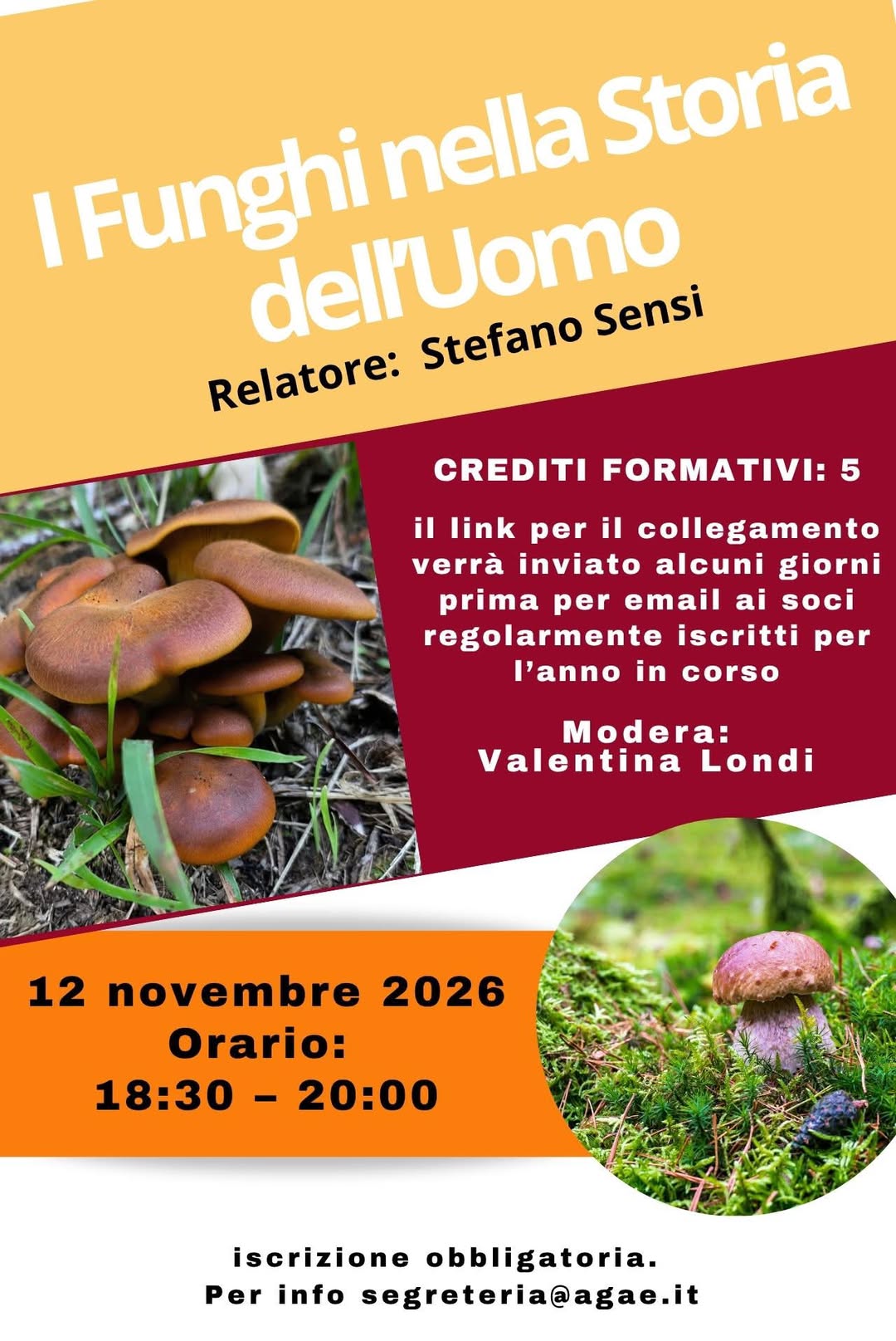 I funghi